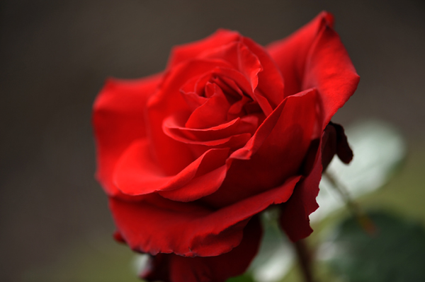 100512 m5 DSC_9572.jpg